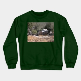 Southwest Branch and Rock No. 1 Crewneck Sweatshirt